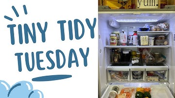 Fridge Organization | Tiny Tidy Tuesday Series Ep 2