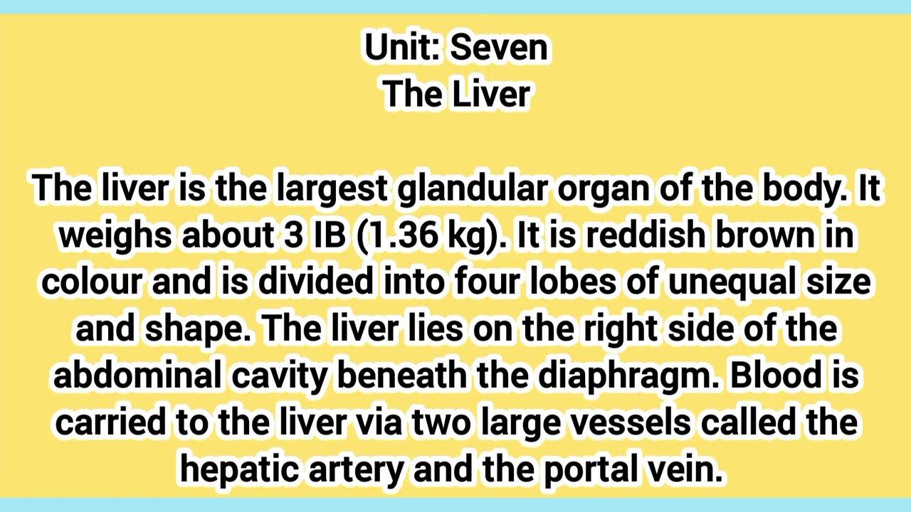 ترمونولجي.الصف الثاني الثانوي تمريض. الكبد  The liver .Unit seven