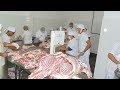VR14 - Visita de Chefs de cozinha de Salvador a frigorifico em Pintadas é manchete na TVE