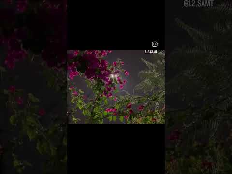 ولعلنا من بعد بعدن نلتقي