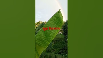 সূরা ইখলাস #subscribe #egzonibrahimi #سورة_الإخلاص #ikhlas #viralvideo