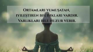 Pleiadeslilerin Özellikleri Bu Evrensel Aileye Ait Olabilir Misin?