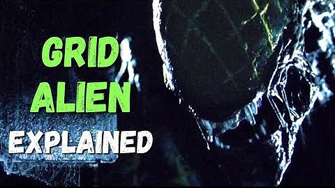 Grid Alien - Xenomorph Explained (AVP Lore)