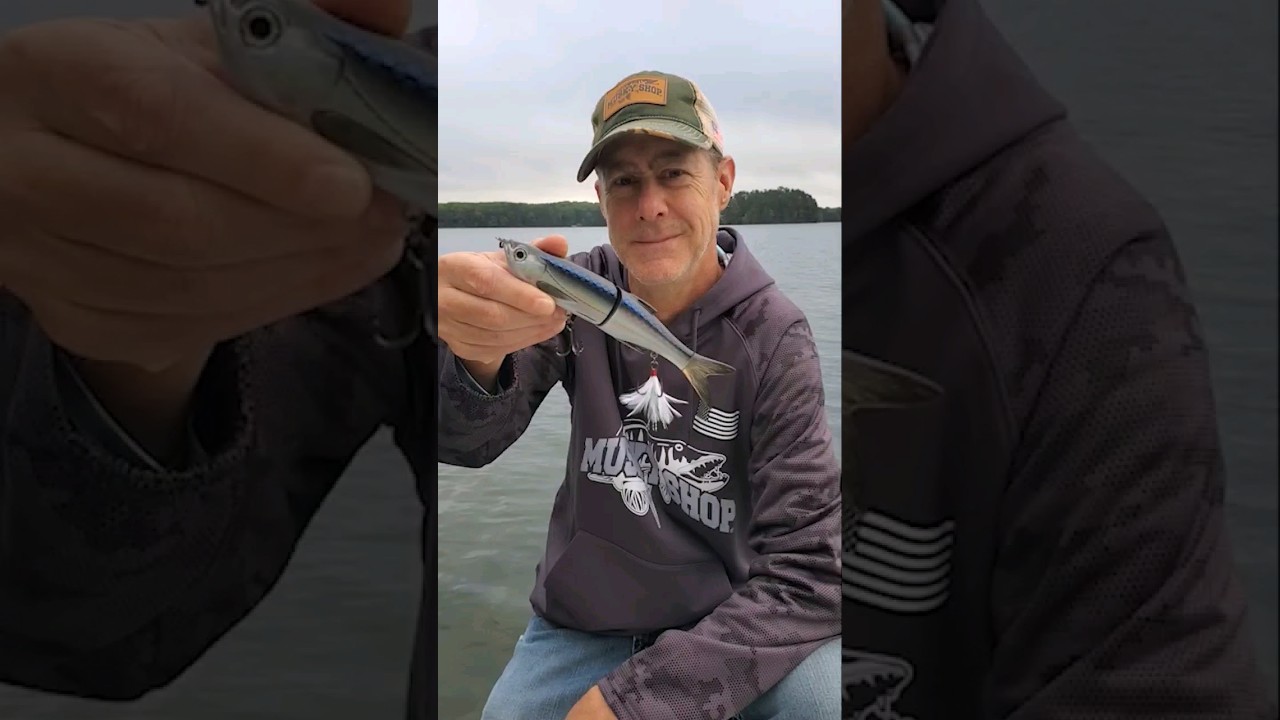 Savage Gear 3D Glide Swimmer – Musky Shop
