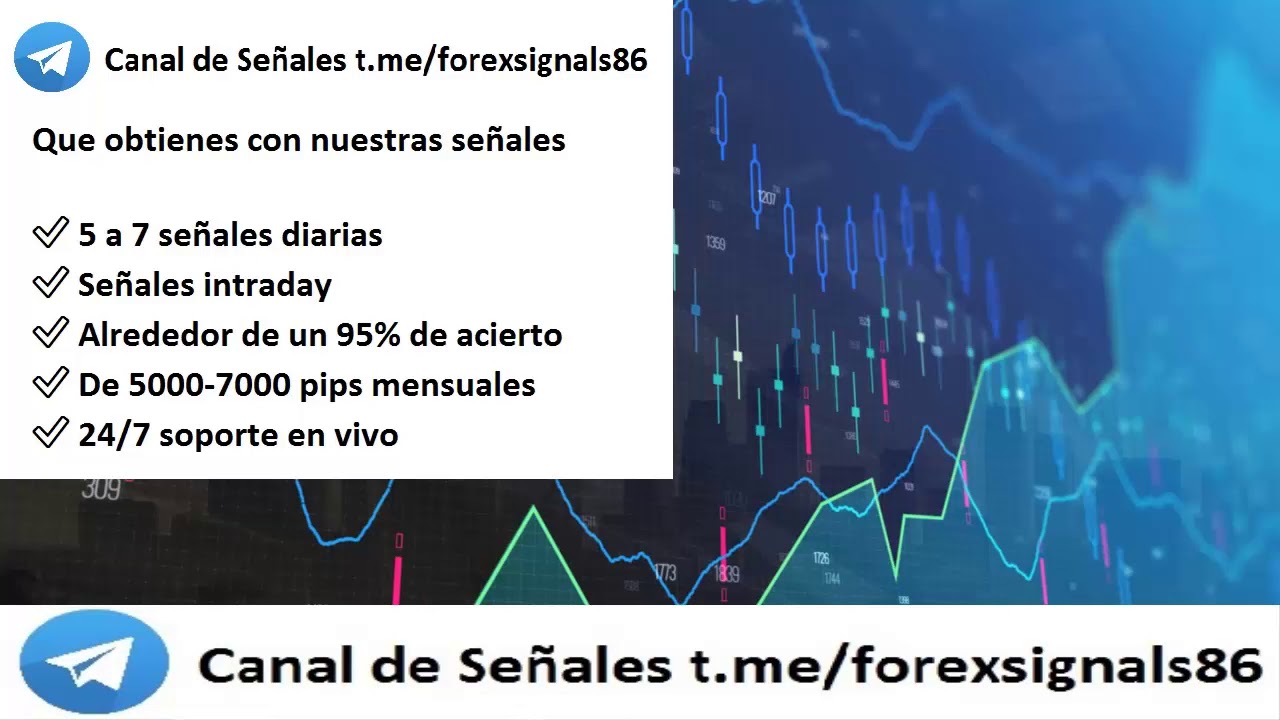 Señales de forex telegram