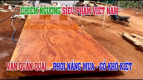 CÙNG CHIÊM NGƯỠNG SIÊU PHẨM VIỆT NAM tấm sập gỗ khủng vân đẳng cấp | ĐOÀN Ở GIA LAI