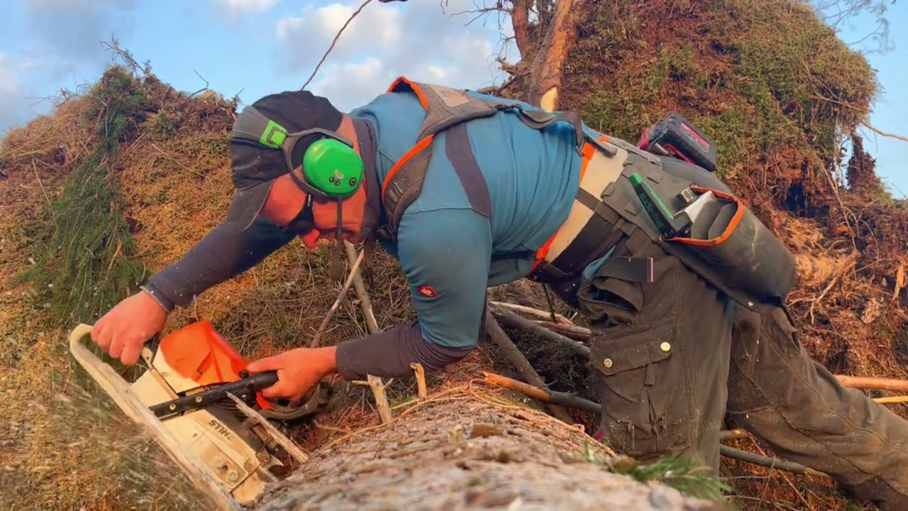 Im Windwurf 🌲 MS 462 🌲 Akku Fällkeil | Bast - Ing | Mein kleiner Helfer