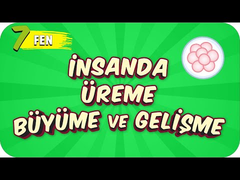 7. Sınıf Fen: İnsanda Üreme, Büyüme ve Gelişme #2022