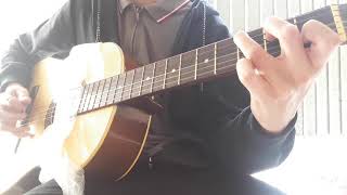 Poor man's banjo (with bag)