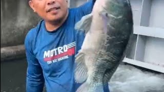 my first vlog 2024 , greatest fishing videos of all time , fishing videos