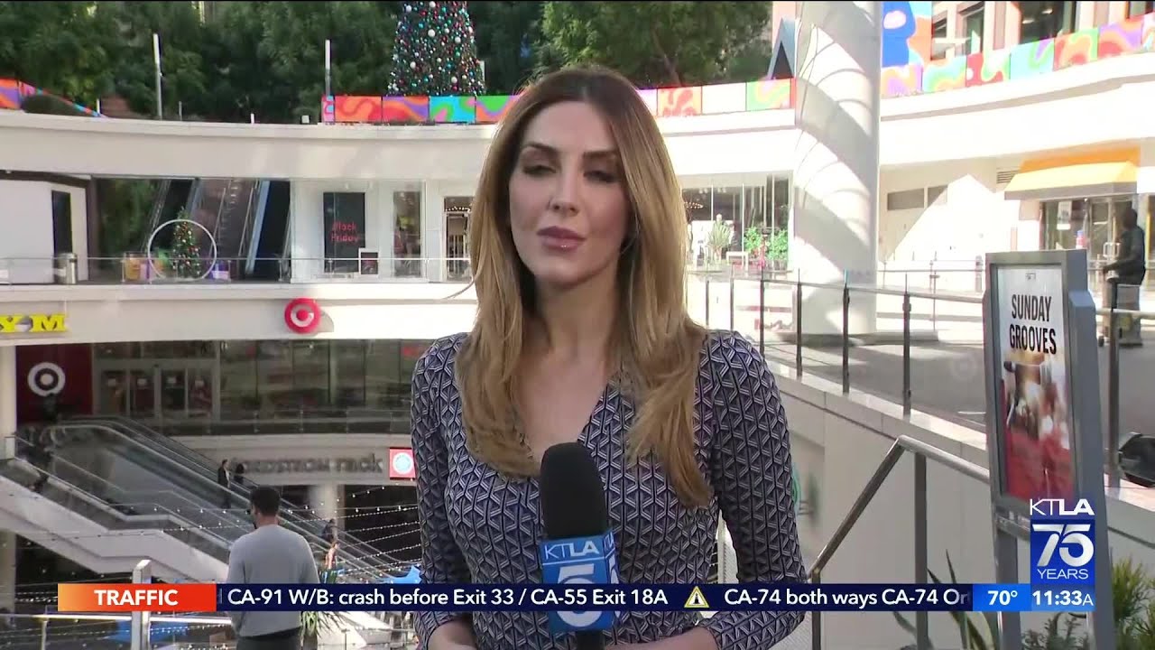 Motive for stabbing spree at Los Angeles Target still unclear, police say