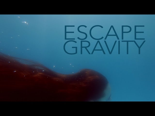 faderhead - escaping gravity