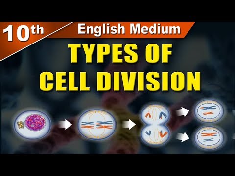 Class10 | SSC | Types of Cell Division | Science 2 | Maharashtra Board | Home Revise