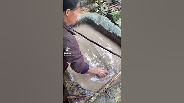 Độc đáo nghề làm giấy của người Nùng An [Tik Tok Wiki]