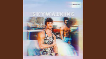 Skywalking