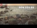 Hồn Của Đá KindyA Video Lyrics