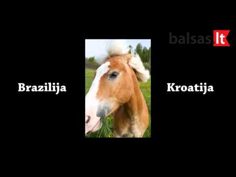 Video: Susipažinkite Su Ekspertu: Kroatija - „Matador“tinklas