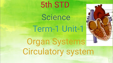 5th STD Science Term-1 Unit-1 Organ Systems - Circulatory system