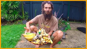 TASTING THE MANY BANANA VARIETIES IN TROPICAL CAIRNS AUSTRALIA