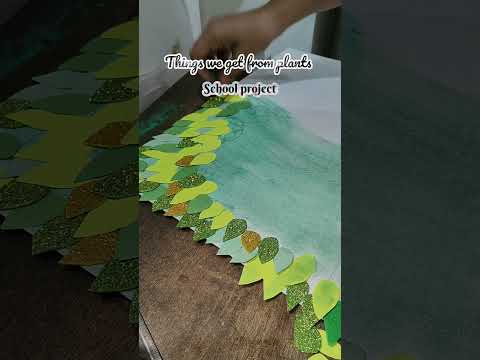 things we get from plants #subscribe #viral #plants