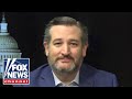 Ted Cruz: Everyone knows there is 'no chance' Trump will be convicted