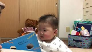 どうぶつだあれ？の絵本が大好き♡♡