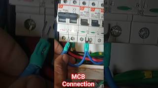 MCB Box Connection 😄 #shorts #mcb #wiring #wire #breaker 🤯