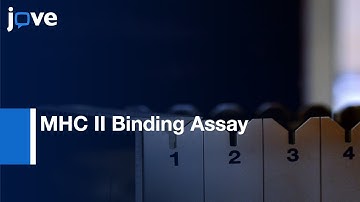 High Throughput MHC II Binding Assay For Quantitative Analysis: Peptide Epitopes l Protocol Preview