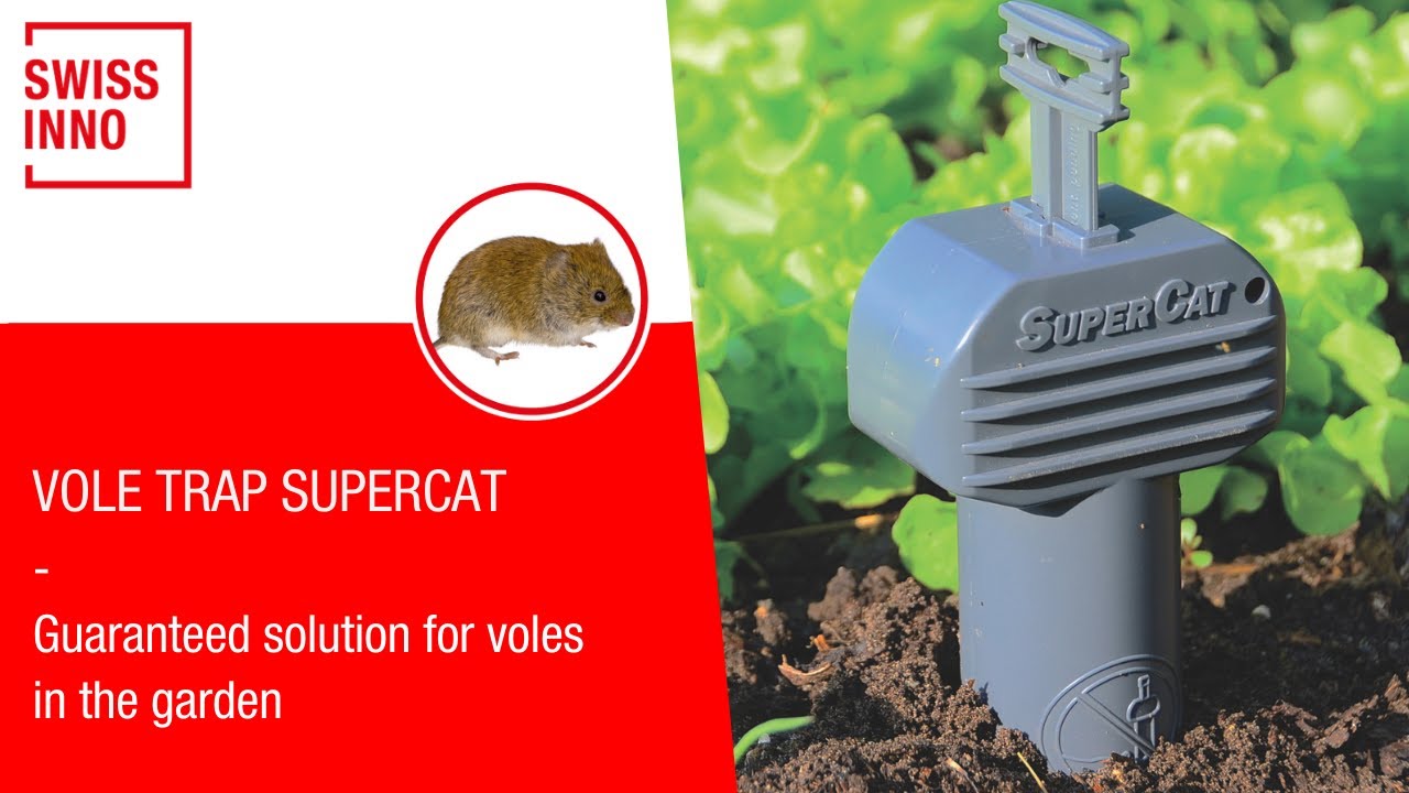 Garden & Patio Weed & Pest Control 8 x Vole Trap Badische Gand Duchy