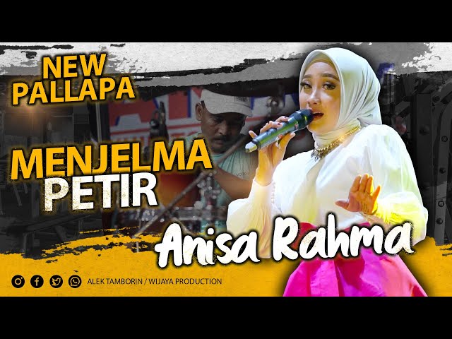 MENJELMA PETIR ANISAH RAHMA NEW PALLAPA LIVE EXPO NGANJUK 2023 class=
