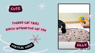 Vertical Video: Silly cat POUNCES on Giociv Interactive Cat Toy #gifted #cats #pets