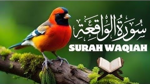 Best Relaxing Quran | Surah Waqiah سورة الواقعة | Amazing Voice | Islam Ul Quran