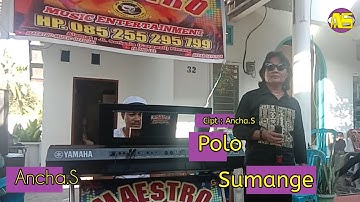 🔰 Lagu Bugis Populer 🔰 Polo Sumange - Ancha.S🔰