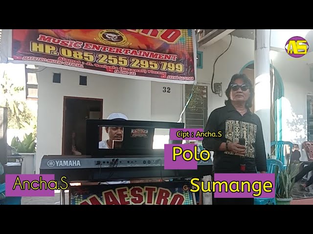 🔰 Lagu Bugis Populer 🔰 Polo Sumange - Ancha.S🔰 class=