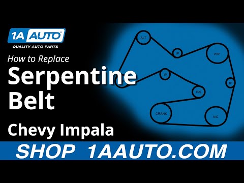 Duralast Serpentine Belt Chart