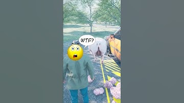 Ranch Sim - Crazy Pigs #ranchsimulator #shorts  #gaming