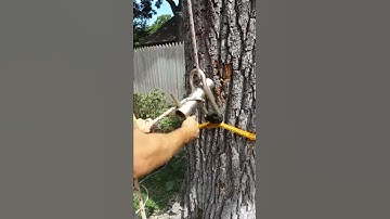 HOW TO USE A PORT-A-WRAP