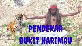 Download Lagu PENDEKAR BUKIT HARIMAU || PART 1 KOLLOT KA POE MP3