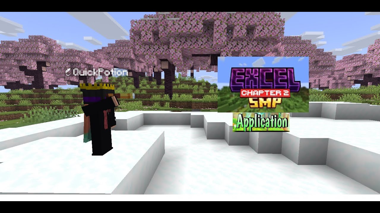 Minecraft application for the Excel SMP - YouTube