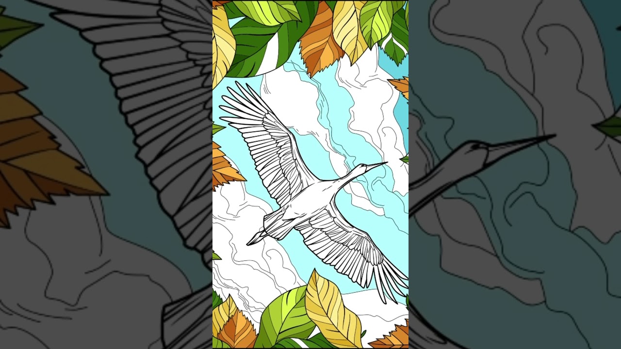 There is freedom in flight 