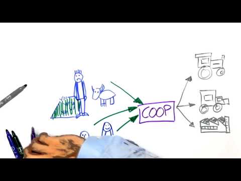 რატომ კოოპერატივები?