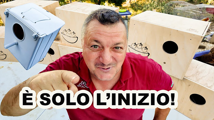 È SOLO L’INIZIO! Ho preso i nidi per una VOLIERA che non avete mai visto!