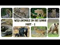 Wild Animals in Sri Lanka | Part   1