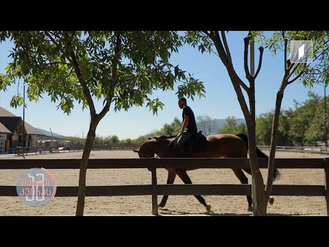 #ამშაბათკვირას პროფესია - ცხენოსანი, თორნიკე პაპიაშვილი