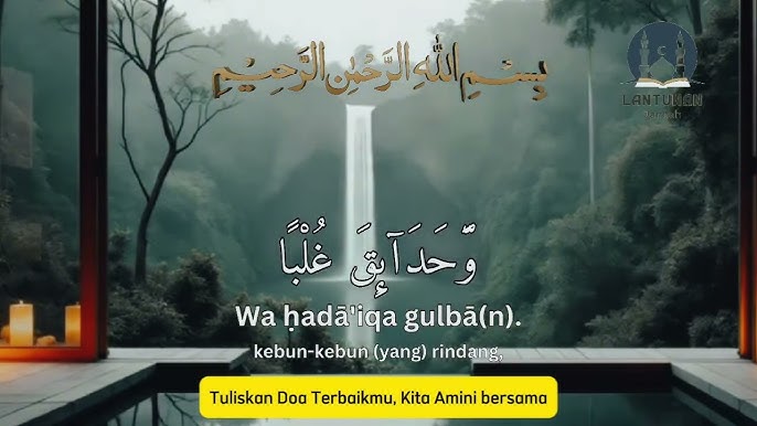 Siqishdan keyin qora mushukning surati Siqishdan keyin qora mushukning surati