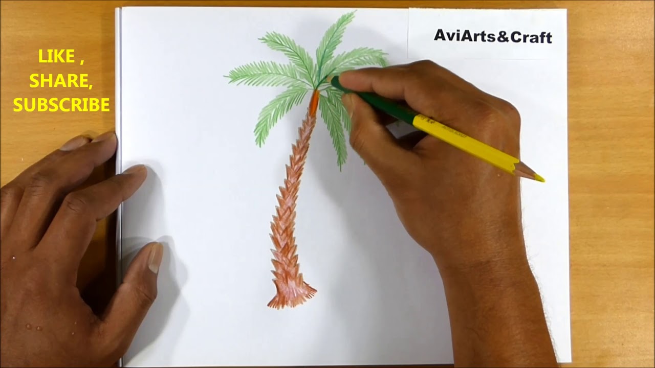 How to Draw a Palm Tree Easy Step by Step - YouTube