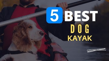 ⭕ Top 5 Best Kayak for Dogs 2022 [Review and Guide]