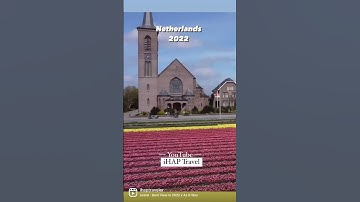 Thumbnail of Epic drone shots of the tulip fields in the #Netherlands this 2022. #travel #holland #tulips