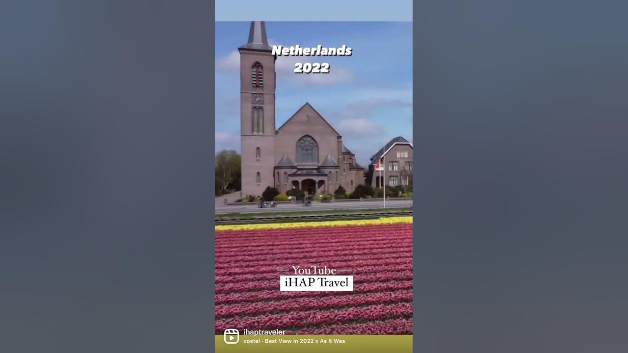 Epic drone shots of the tulip fields in the #Netherlands this 2022. #travel #holland #tulips