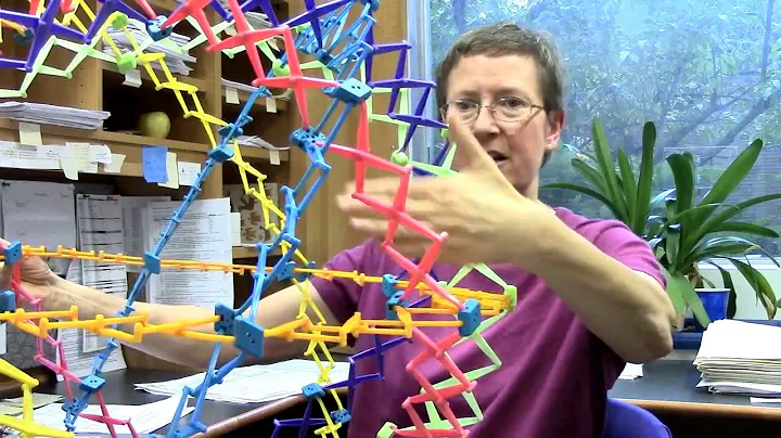 Katherine Wilson on the Structure of the Nucleus